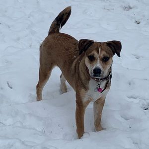 Meet your Posher, Eryn